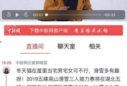 二八最新爆料新闻直播回放,直播回放揭示惊人内幕