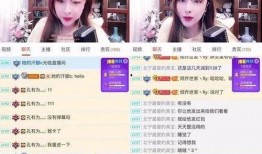 爆料东南亚主播视频,揭秘幕后真相